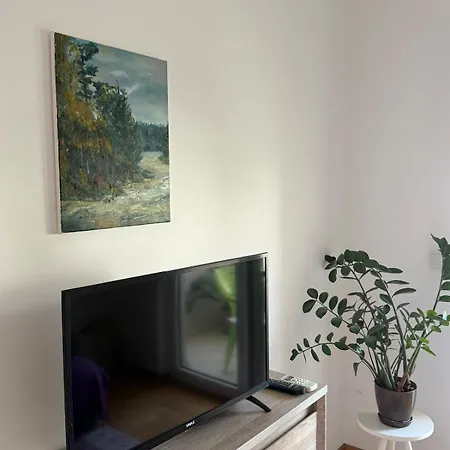 Cozy With Private Garage - Walk To Center Budva